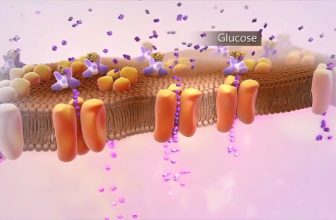 Πώς να καταπολεμήσετε τη φλεγμονή και το αυτοάνοσο νόσημά σας σε 30 μέρες!!!