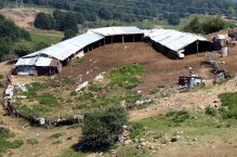 Από τον Κοινοτισμό στην Αλληλεγγύη*