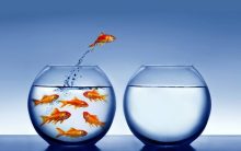 Υπήκοος ή Επαναστάτης Συνείδησης;