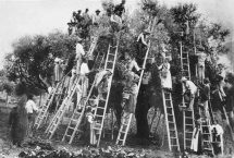 Η θετική επίδραση της «αλληλεγγύης» στην ψυχική μας υγεία! / Λάσκαρη Κωνσταντίνου*