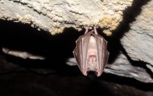 Εκτός κι αν αμολήσουν κανέναν καινούριο για να ολοκληρώσουν το έργο τους / Γράφει η Ελένη Παπαδοπούλου