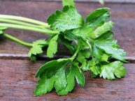 Αυτό είναι το ελληνικό βότανο κατά του καρκίνου! Αυτός είναι ο ελληνικός μαϊντανός!!!