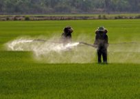 Ένας εναλλακτικός-αντικαταναλωτικός κατάλογος προϊόντων ενάντια στα χημικά