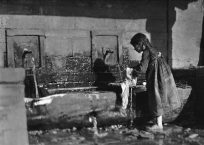 ΤΙ ΓΝΩΡΙΖΑΝ ΟΙ ΓΙΑΓΙΑΔΕΣ ΜΑΣ ΚΑΙ ΚΑΤΑΦΕΡΑΝ ΝΑ ΕΠΙΒΙΩΣΟΥΝ ΣΕ ΚΑΙΡΟ ΠΟΛΕΜΟΥ Ή ΑΠΟΛΥΤΗΣ ΦΤΩΧΕΙΑΣ;