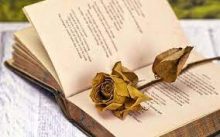 Η ΕΛΛΗΝΙΚΗ ΓΛΩΣΣΑ ΚΑΙ ΤΟ ΠΟΙΗΤΙΚΟ ΕΡΓΑΣΤΗΡΙ*