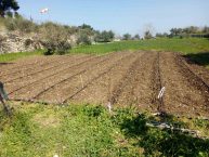 ΑΞΙΟΠΟΙΗΣΗ ΠΡΩΤΟΓΕΝΟΥΣ ΤΟΜΕΑ / Λιάου Δημητρίου, Γεωπόνου